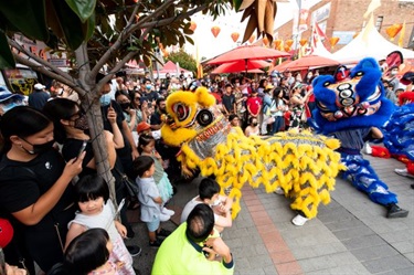 Yellow lion and blue lion with crowd.