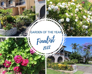 Garden of the Year Finalist 2022 - Teresa Vicano