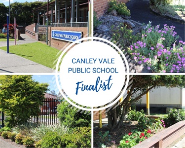 School Garden of the Year Finalist 2022 - Canley Vale Public School