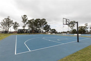 Basketball court