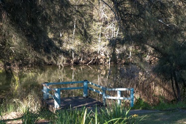 Small dock with blue rails by the water