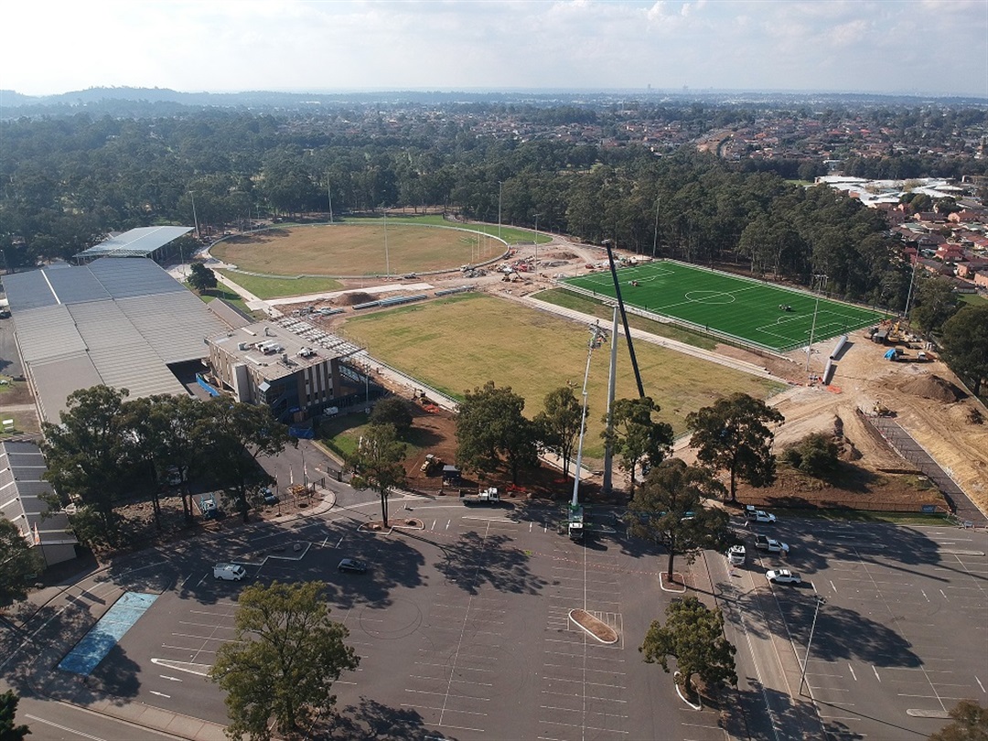 fairfield showground chinese new year 2025