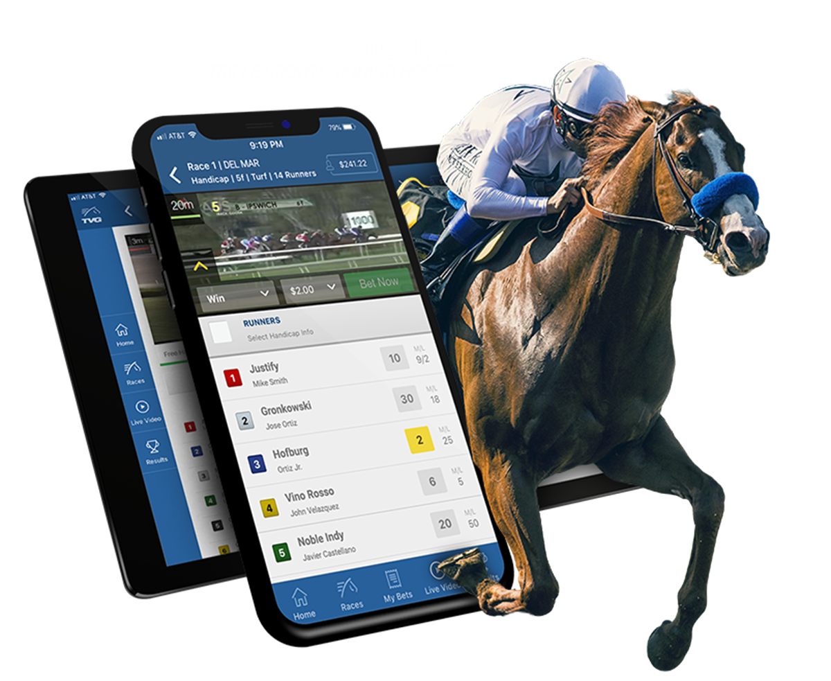 Horse betting. Беттинг скачки. Скачки PNG. Tethered Horse. Horse dinamico.