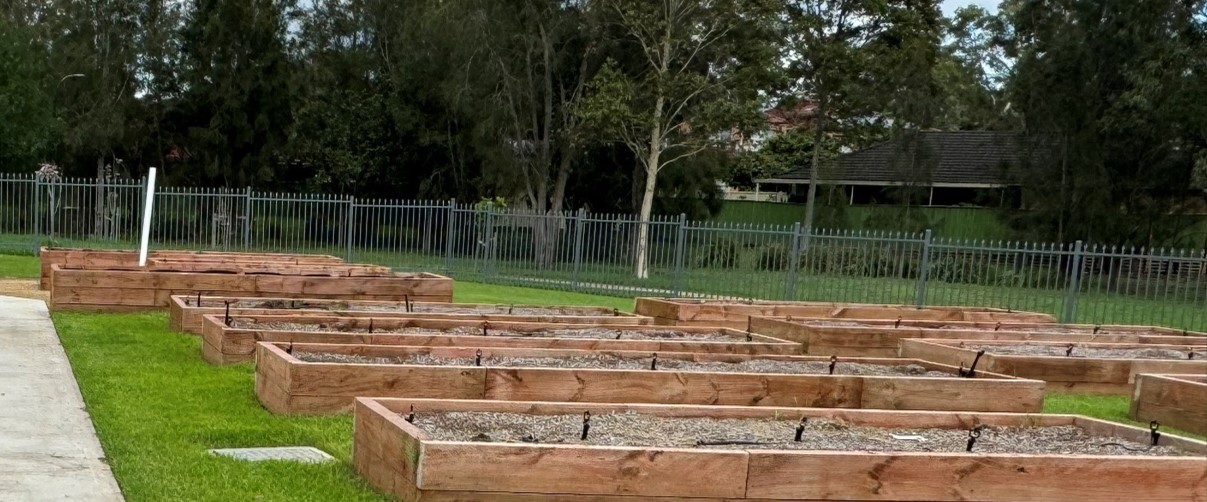 Accessible garden beds.