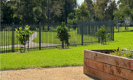 Fruit trees.