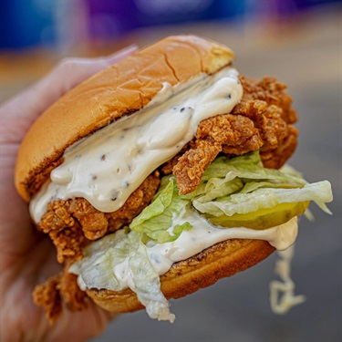 Birdman-Foodtruck-Person-Holding-Fried-Chicken-Burger.jpeg