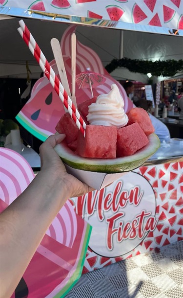 Melon-Fiesta-Watermelon-Chunk-in-Watermelon-Shell-Served-with-Soft-Serve-Ice-Cream.jpg