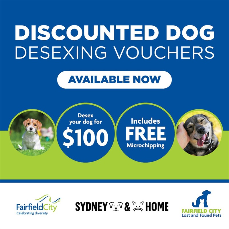 Discounted Dog Desexing Vouchers