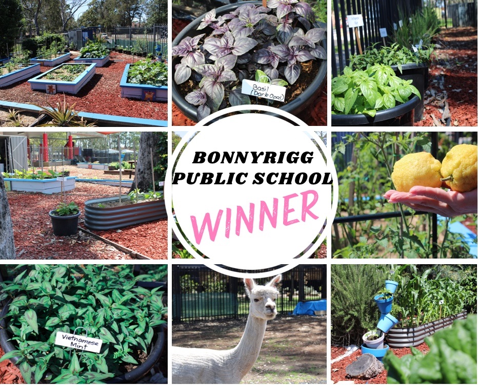 2024 Annual School Garden Awards - Bonnyrigg Public School