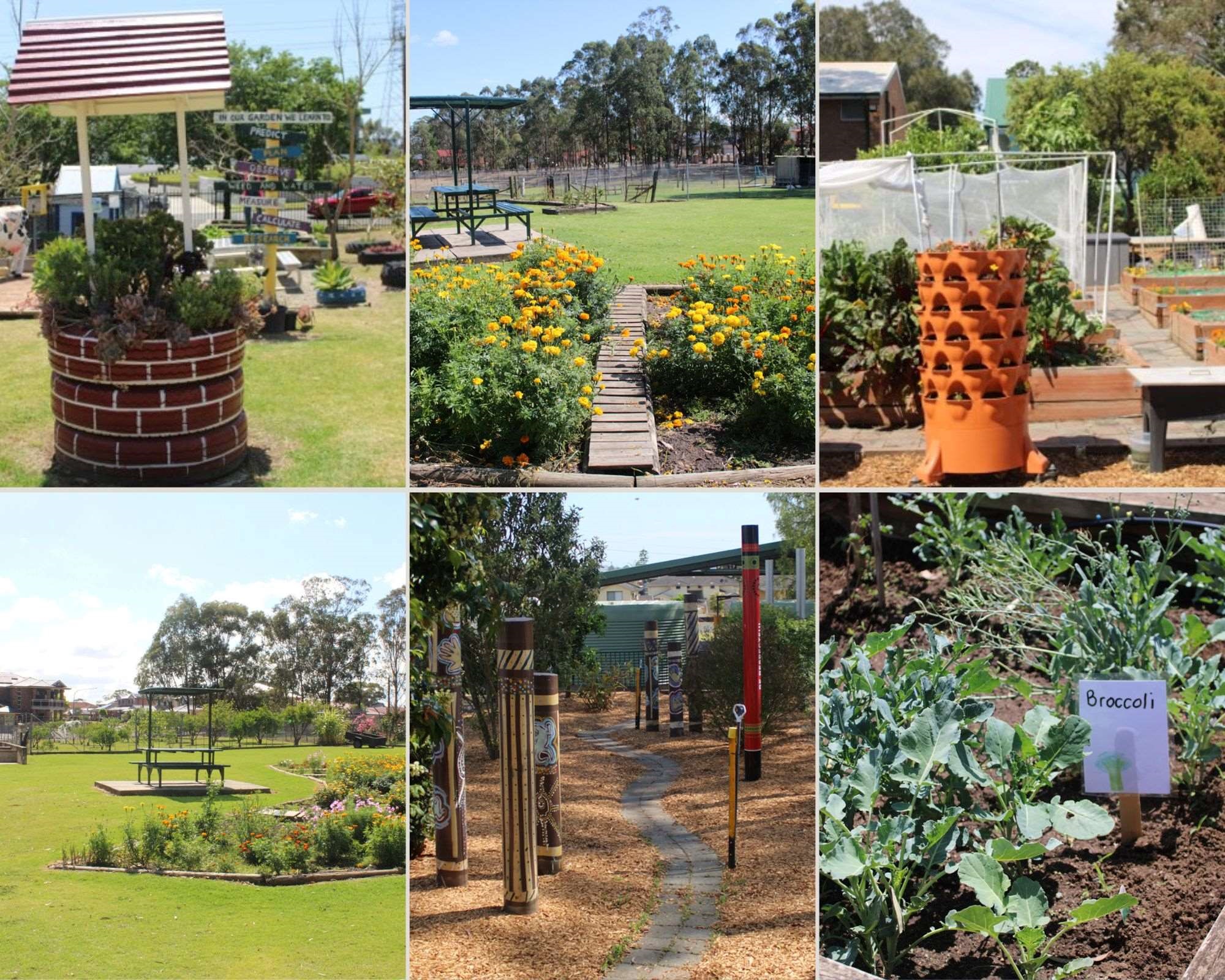 Collage of winning gardens from the Fabulous Fairfield School Garden competition.