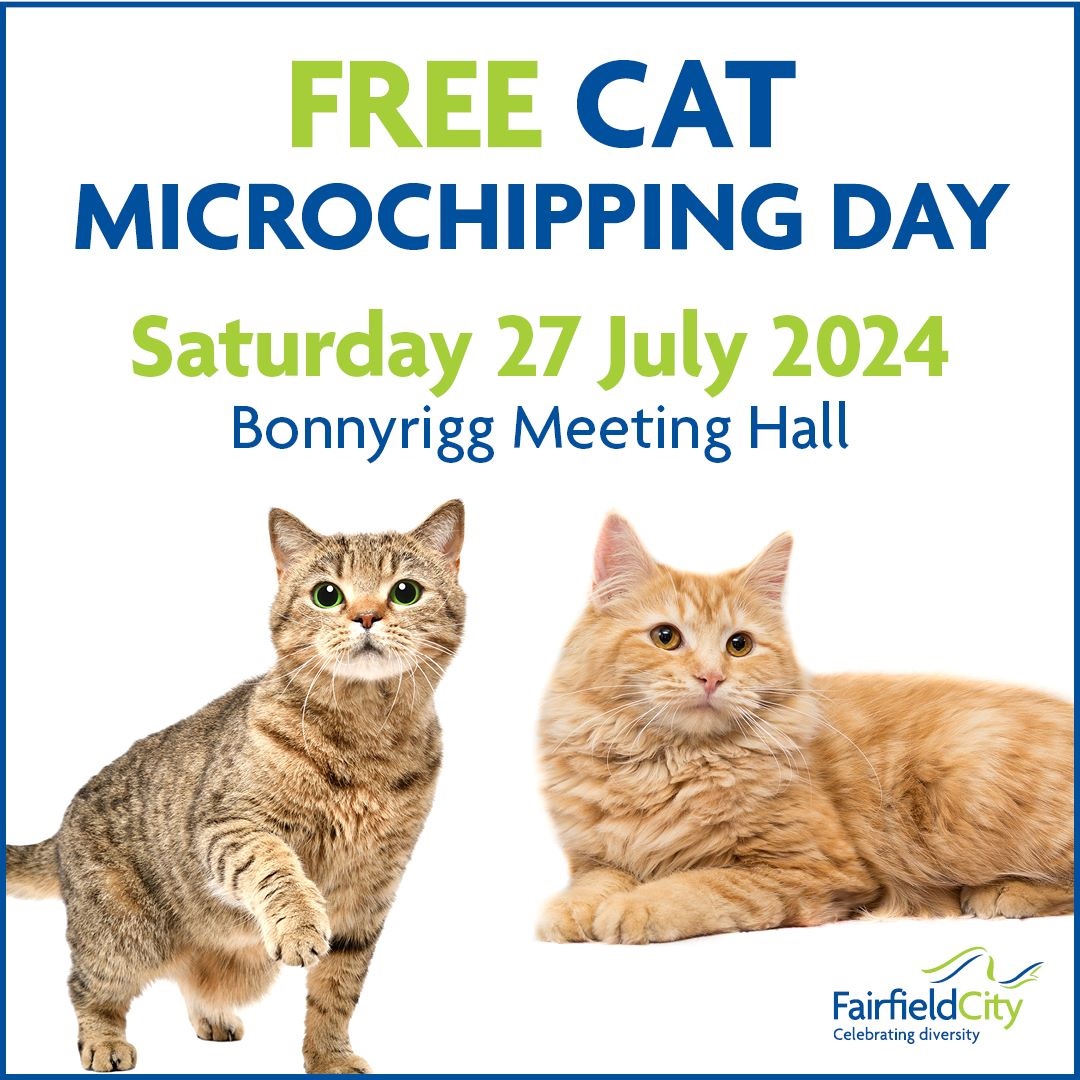 Free cat microchipping day