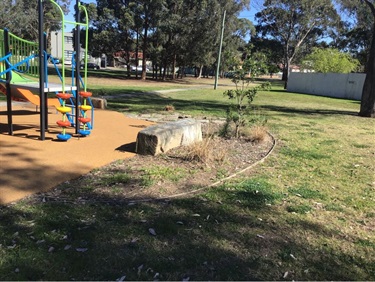 Studley Park Playground.