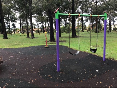 Tasman Park Playground.