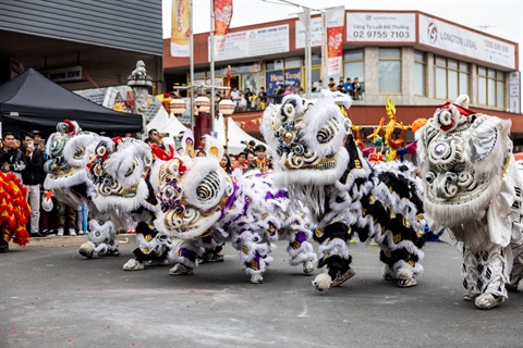 Cabramatta Lunar New Year 2024 5 Lion dancers