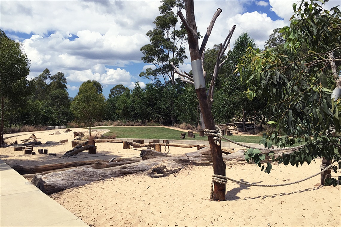 Sand, logs and trees with walkway