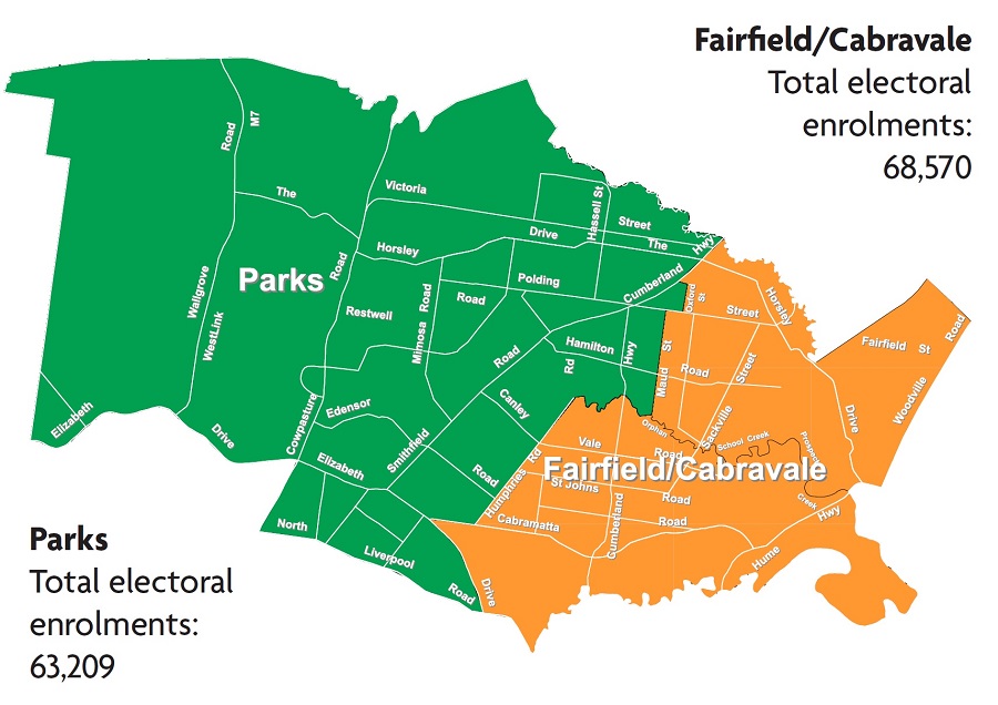 Proposed ward map 2019