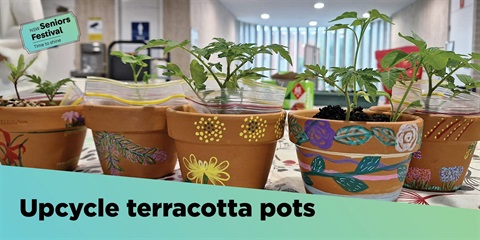 Terracotta pots.